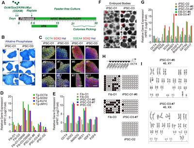 Direct Reprogramming Rather than iPSC-Based Reprogramming Maintains Aging Hallmarks in Human Motor Neurons